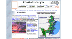 Desktop Screenshot of coastalga.com